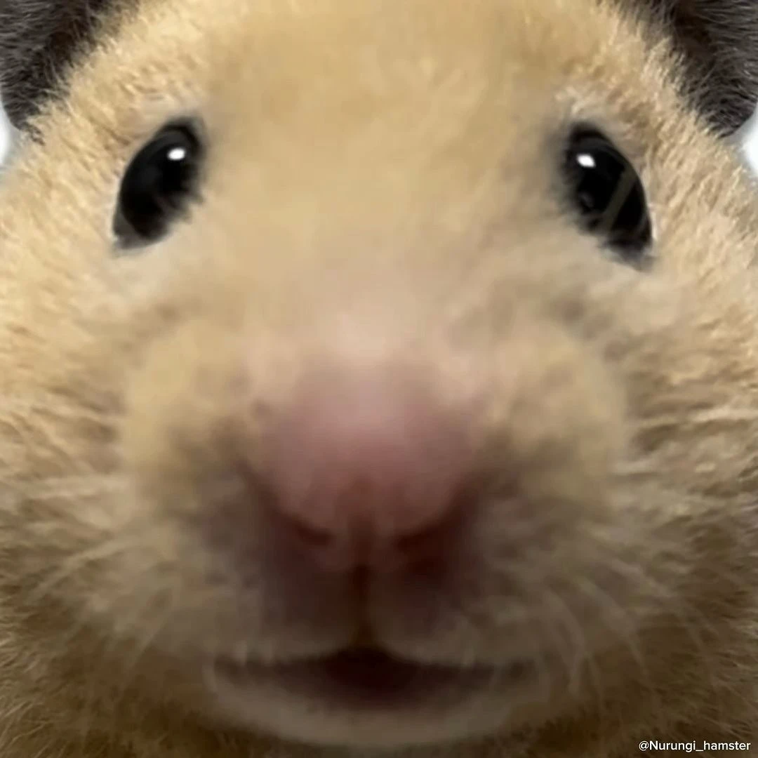 HAMZZIC's avatar