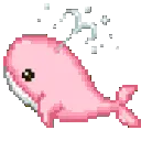 :pink_whale: